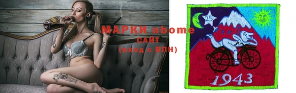 хмурый Кодинск