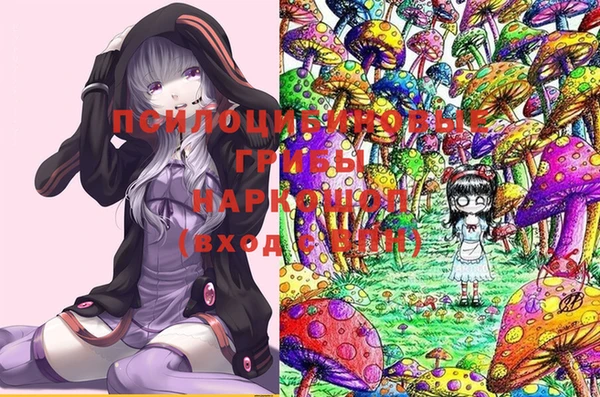 хмурый Кодинск