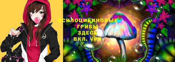 хмурый Кодинск