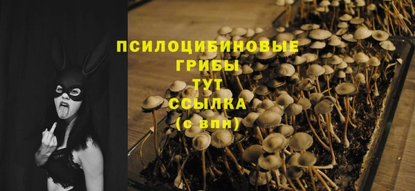 MDMA Premium VHQ Козловка