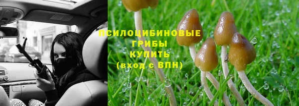 MDMA Premium VHQ Козловка