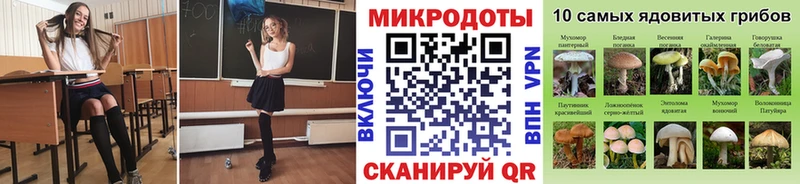 Псилоцибиновые грибы Cubensis  Купить  Мостовской 